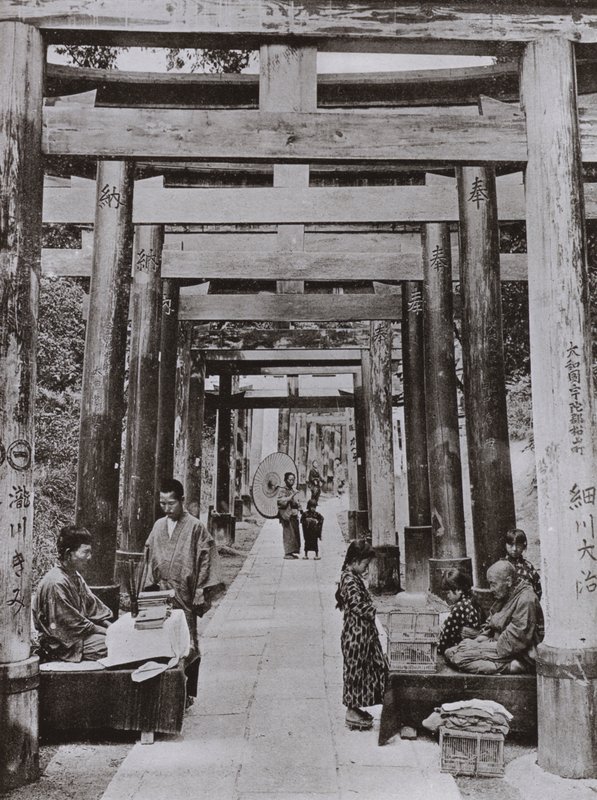 An Avenue of Torii ved Inari Temple (s/hv-bilde) av Herbert Ponting