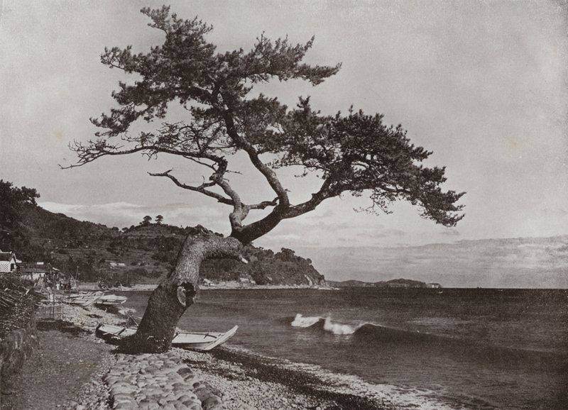 Atami (s/hvitt bilde) av Herbert Ponting