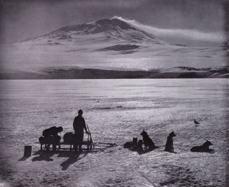 Slede og hunder, med Mount Erebus i bakgrunnen (s/hvitt bilde) av Herbert Ponting
