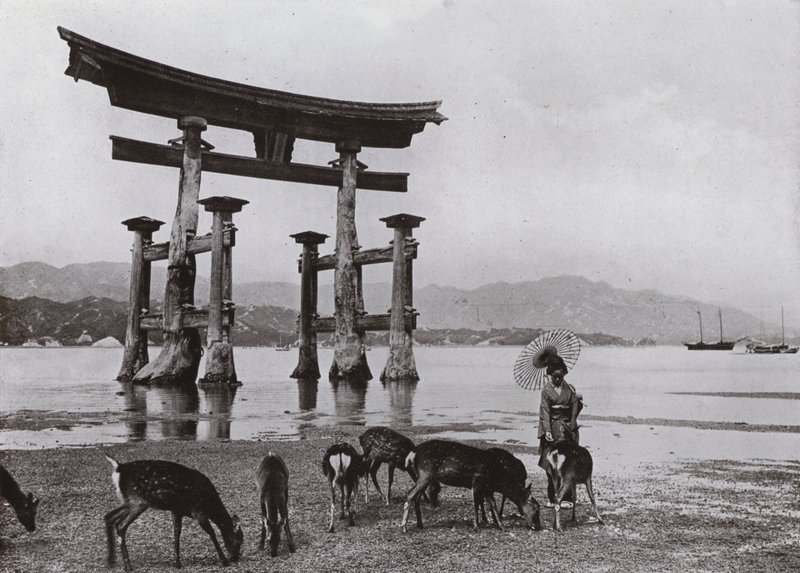 The Old Torii at Miyajima (s/hvitt bilde) av Herbert Ponting