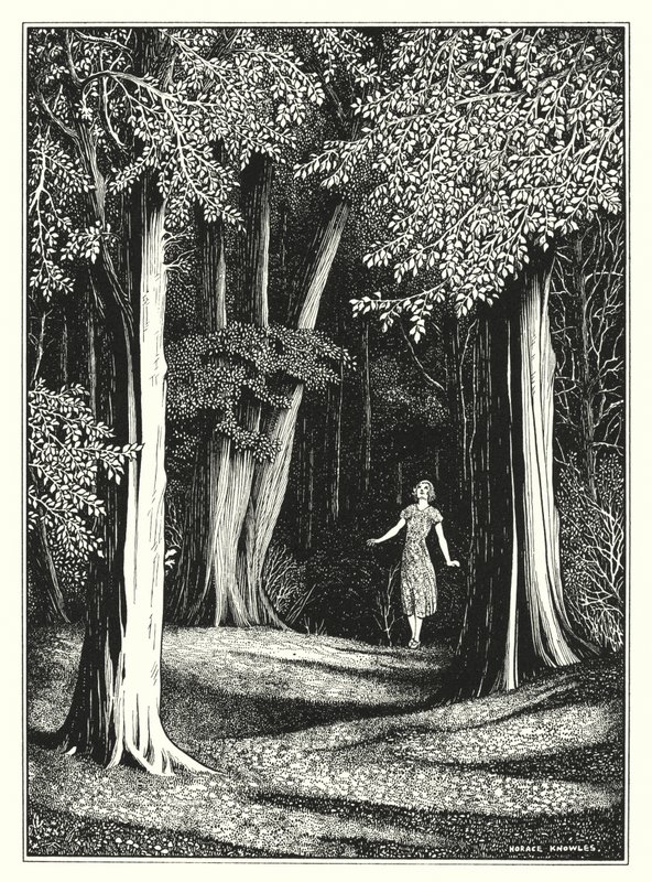  av Horace J. Knowles