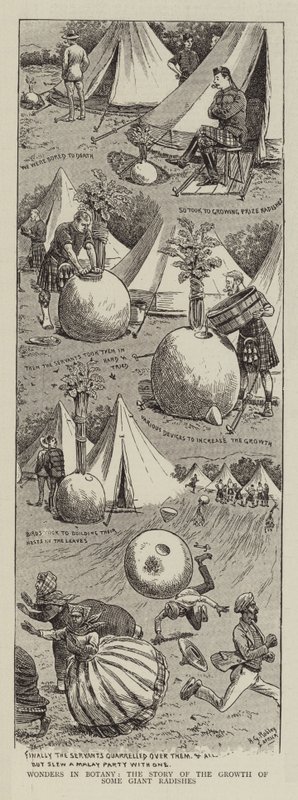 Underverker i botanikk, historien om veksten til noen gigantiske reddiker av Horatio Gordon Robley