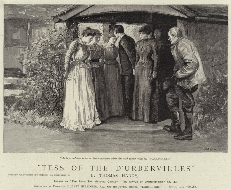 Tess fra D