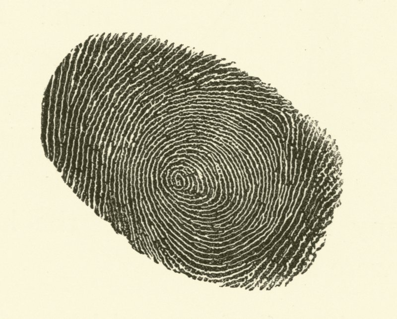 Fingeravtrykk (gravering) av Hugh Rowley