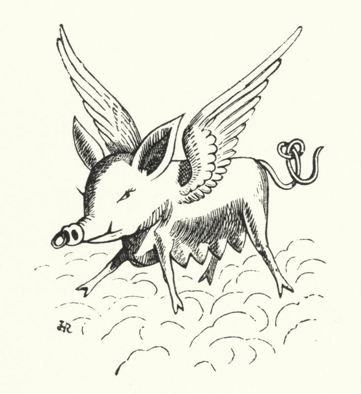 Flyvende gris (litho) av Hugh Rowley