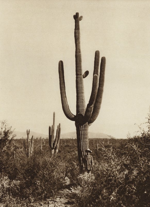  av Hugo Brehme