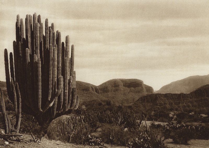  av Hugo Brehme