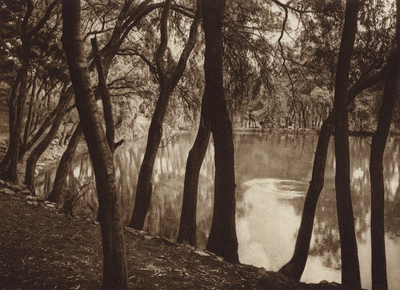  av Hugo Brehme