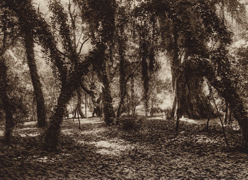  av Hugo Brehme