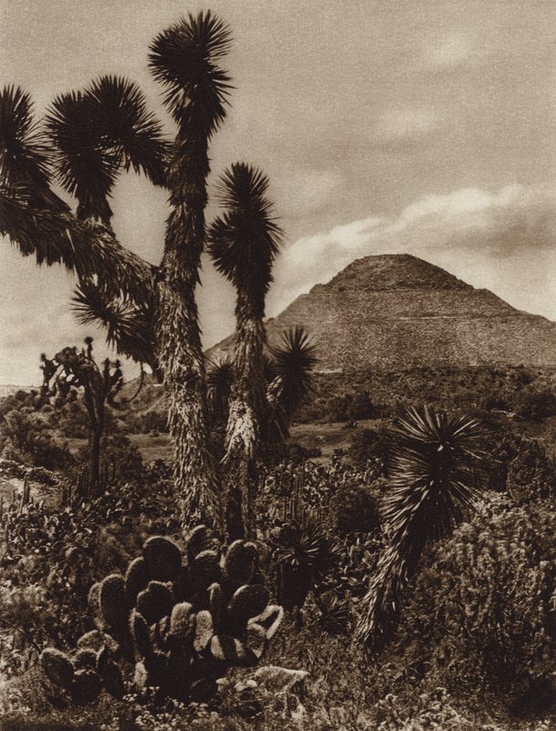  av Hugo Brehme
