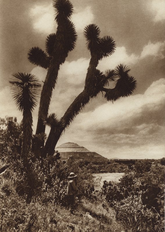  av Hugo Brehme