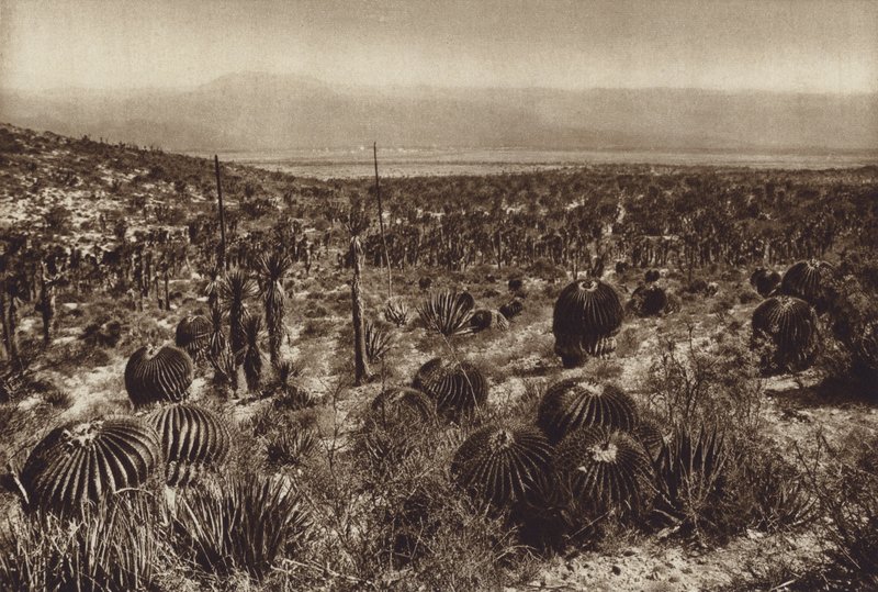  av Hugo Brehme