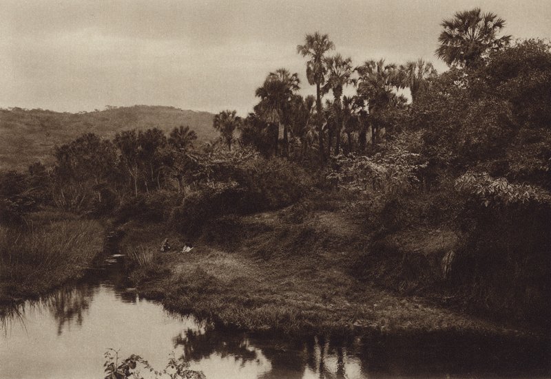 Mexico: Tamasopo, palmelandskap (s/h-bilde) av Hugo Brehme