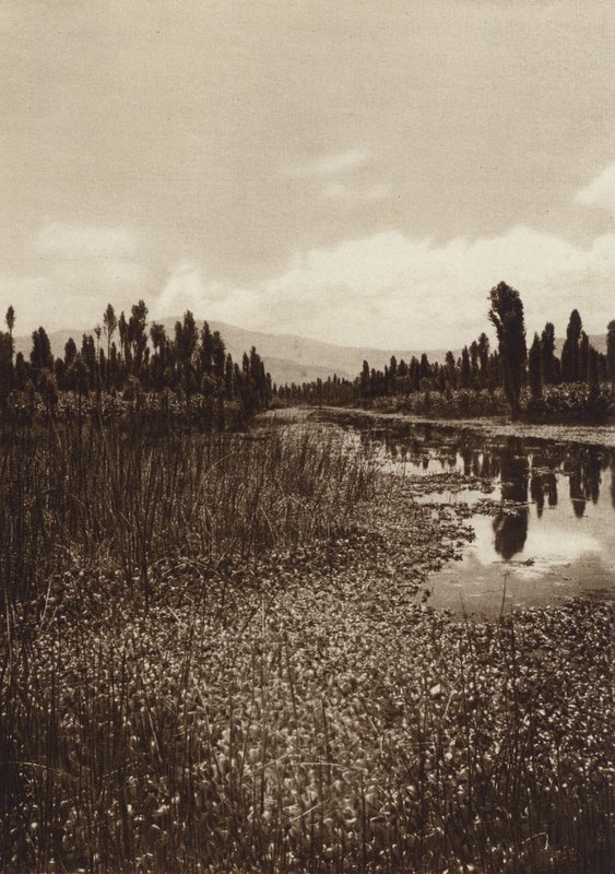  av Hugo Brehme