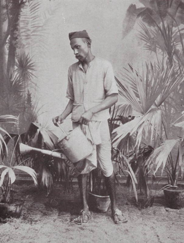  av Indian photographer