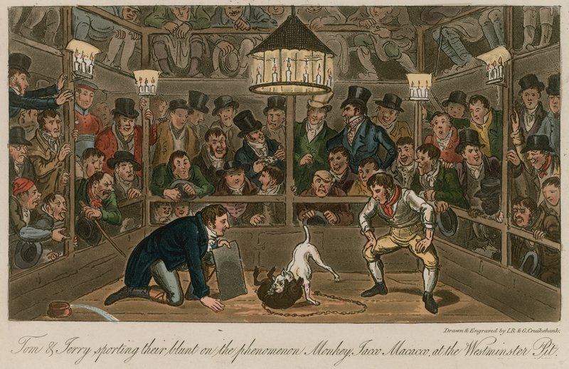 Tom og Jerry praktiserer fenomenet Monkey, Jacco Macacco, ved Westminster Pit av Isaac, Robert and George Cruikshank