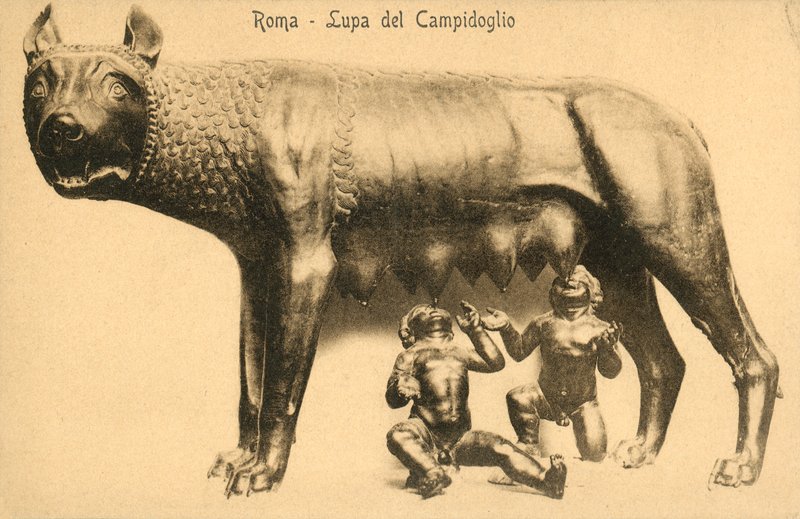 Roma, ulv fra Campidoglio av Italian Photographer