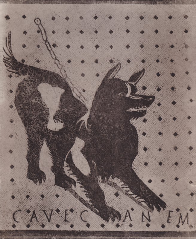 Mosaikk, Hulehund, Mosaikk, Hulehund (s/hvitt bilde) av Italian Photographer