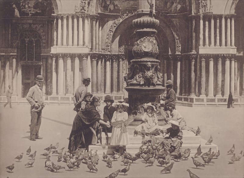 Piccioni (s/hvitt bilde) av Italian Photographer