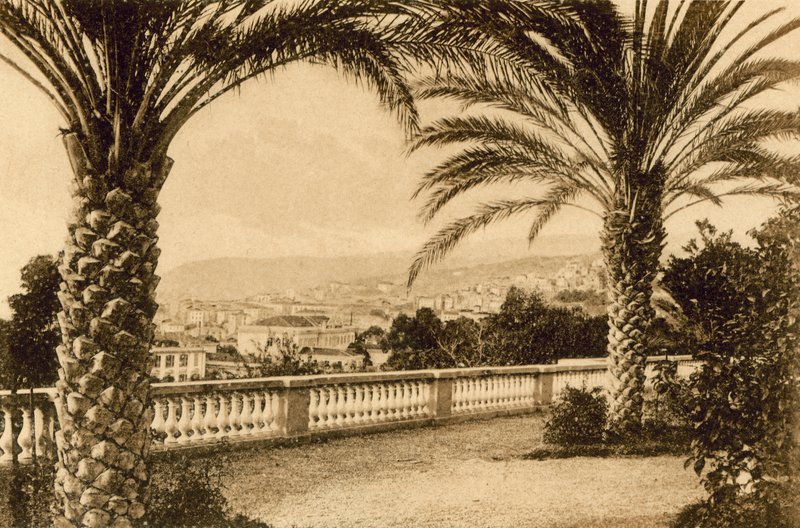 San Remo, From the Palm (s/hvitt bilde) av Italian Photographer