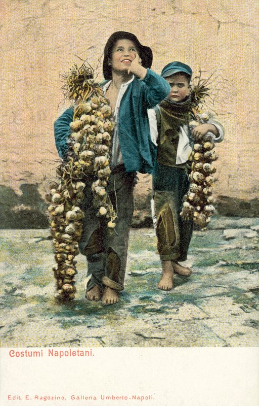 Unge hvitløksleverandører, Napoli av Italian Photographer