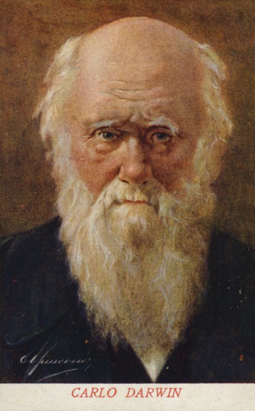 Charles Darwin (1809–1882), engelsk naturforsker (fargelitografi) av Italian School