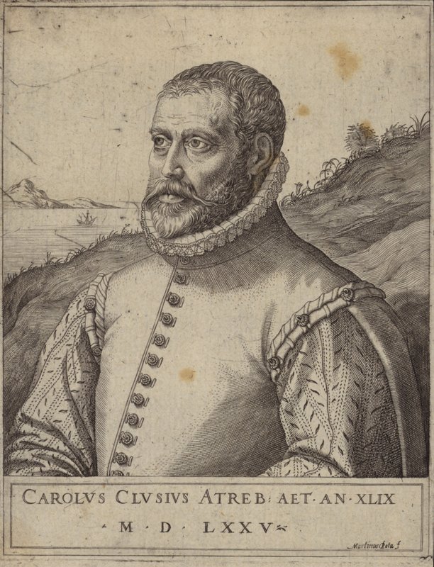 Portrett av Carolus Clusius av Italian School