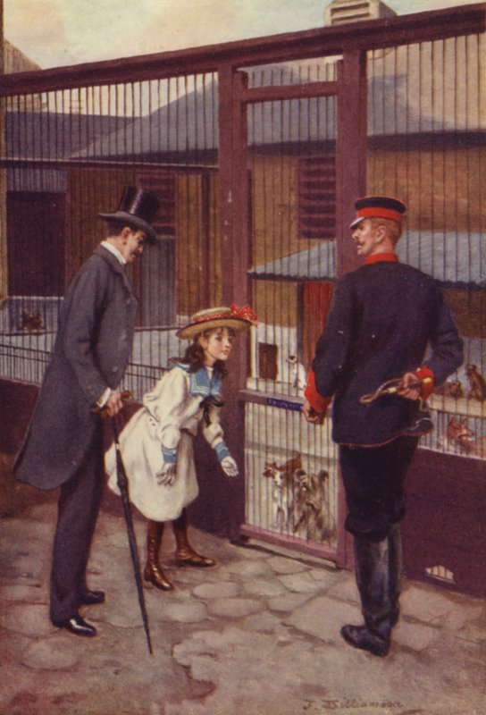 Ethel finner Scamp av J. Williamson