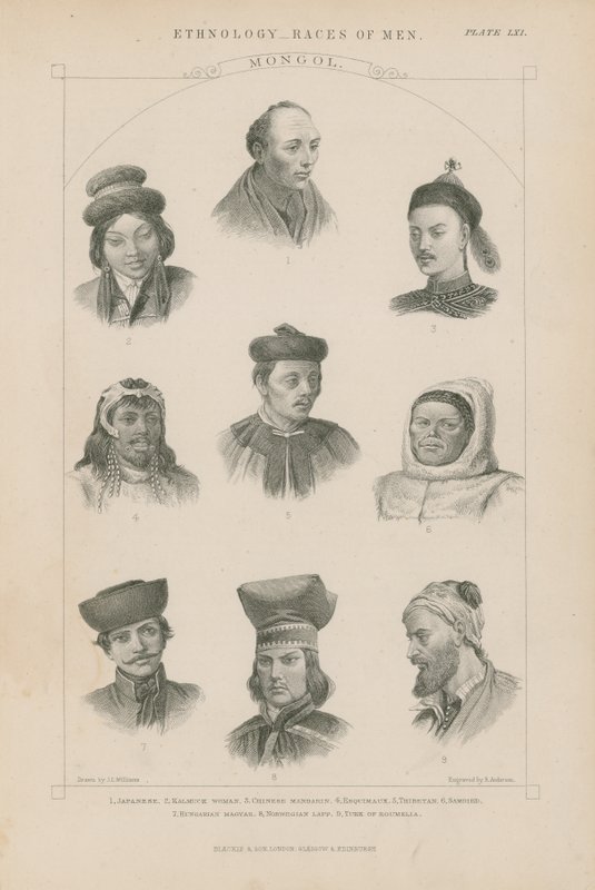 Ni ansikter av forskjellige mongolske raser av J.L. Williams