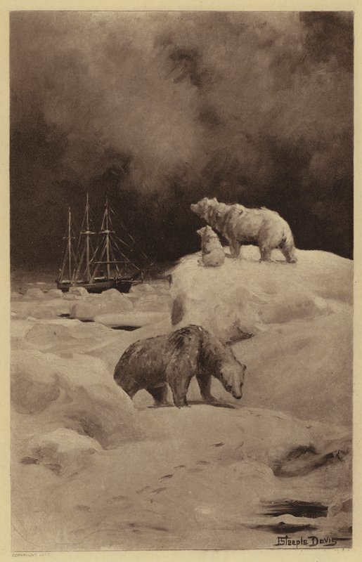 Peary i de arktiske områdene (litho) av J. (after) Steeple Davis