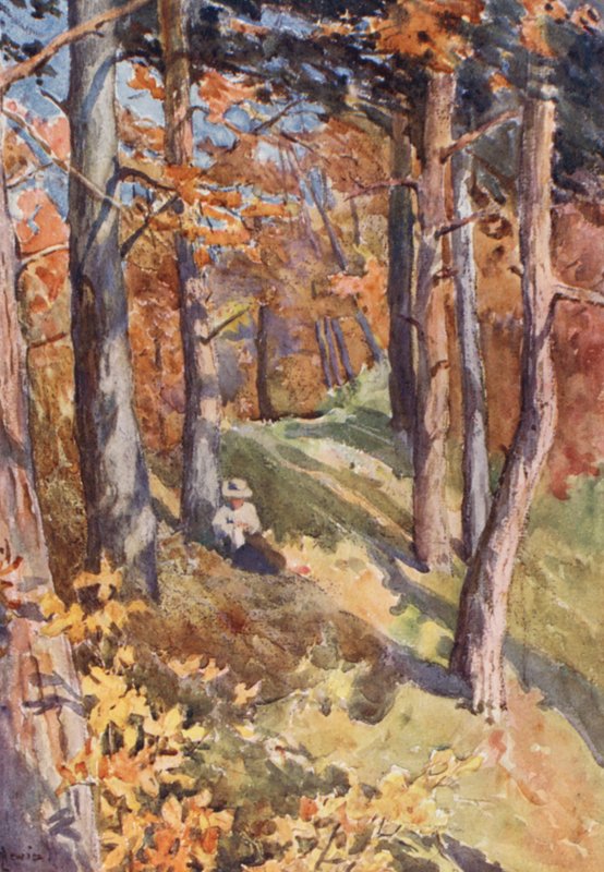  av J. Hardwicke Lewis