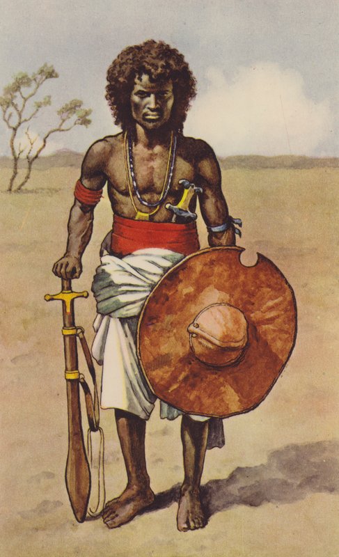 Fuzzy Wuzzy (farge litho) av J. Macfarlane