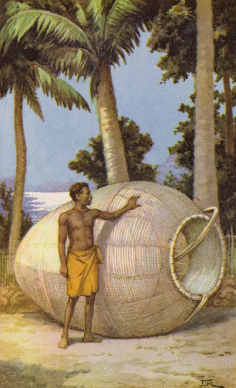 New Guinea mann med fiskefelle (farge litho) av J. Macfarlane