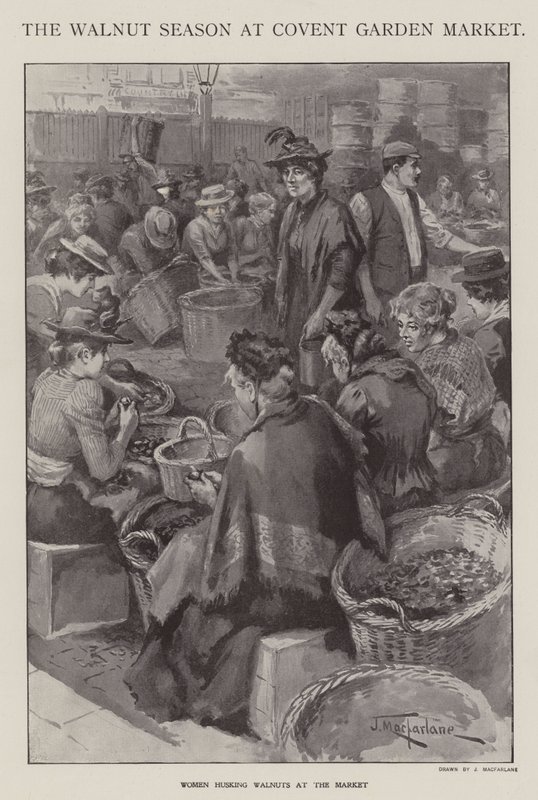 Valnøttsesongen på Covent Garden Market, London (litho) av J. Macfarlane
