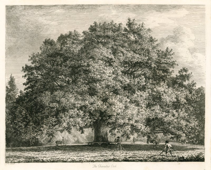 The Chandos Oak, Michendon House, Southgate, London av Jacob George Strutt