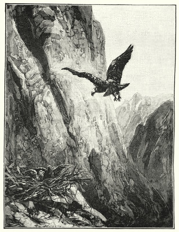 Ørneredet i Sinai-fjellet (litho) av James (after) Clark