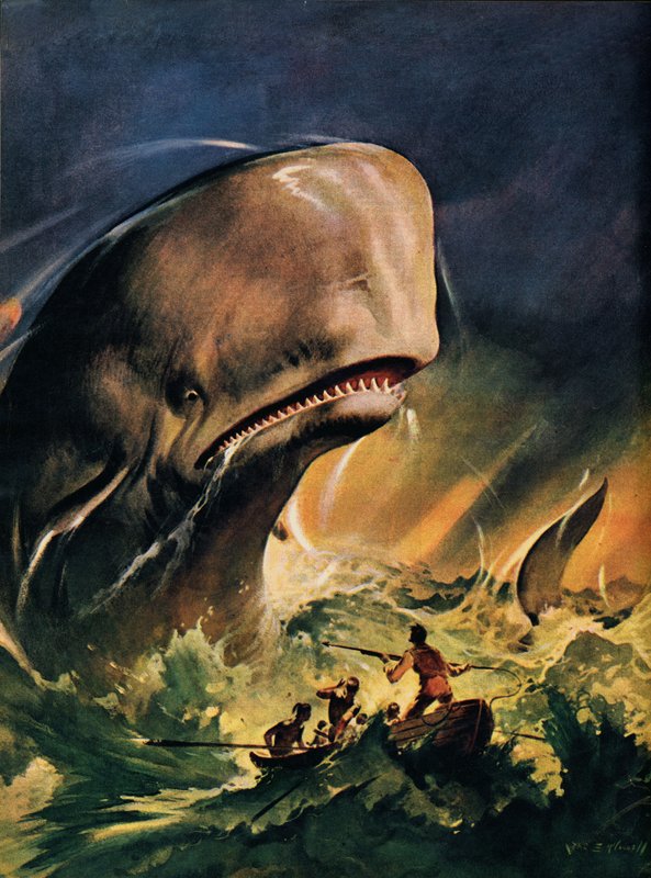 Moby Dick (fargelitografi) av James Edwin McConnell