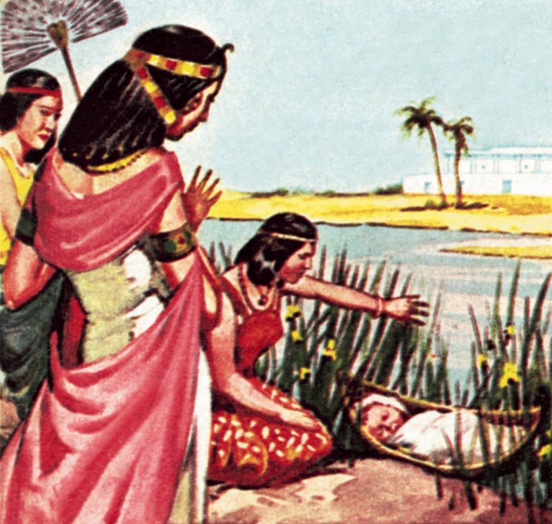 Moses i okseløpet av James Edwin McConnell