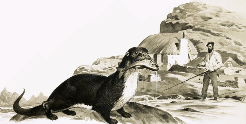  av James Edwin McConnell
