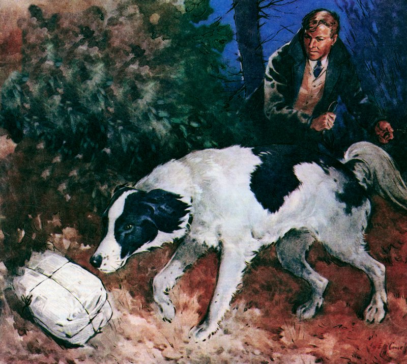  av James Edwin McConnell