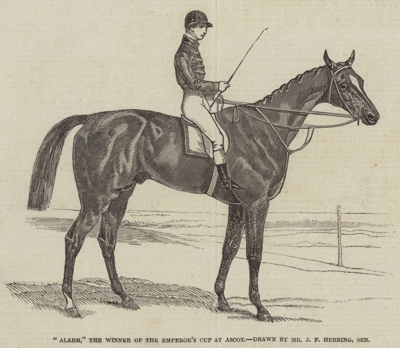 Alarm, vinneren av Emperor's Cup på Ascot av James Herring