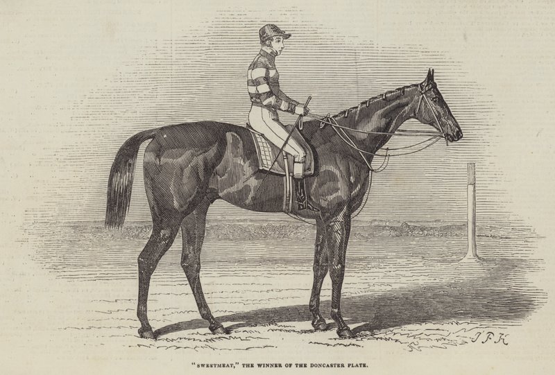 Sweetmeat, vinneren av Doncaster-platen av James Herring