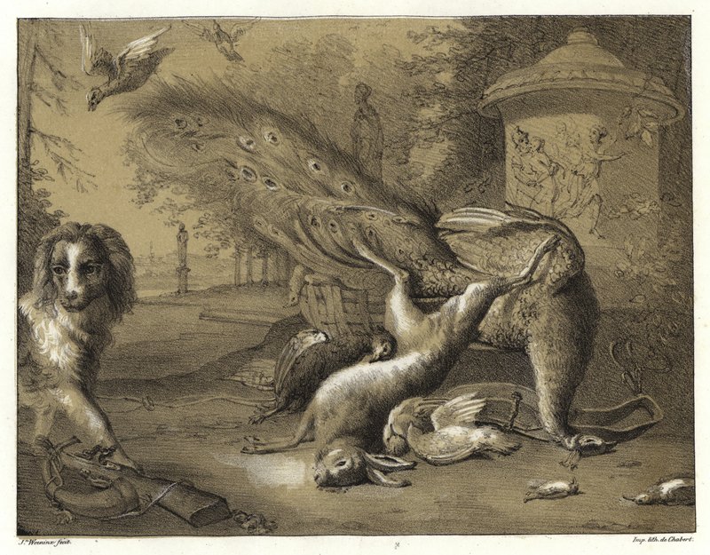 Stilleben med en påfugl og en hund av Jan Baptist Weenix