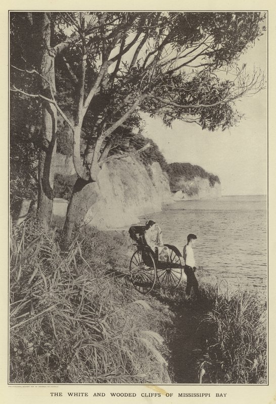 De hvite og skogkledde klippene i Mississippi Bay av Japanese Photographer
