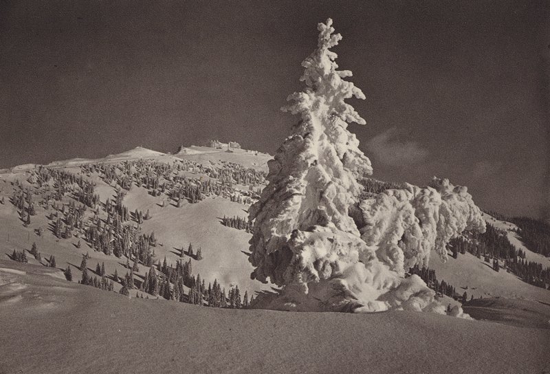 Rigi Kaltbad, Skigelande og Rigi Kulm (s/hvitt foto) av Jean Gaberell