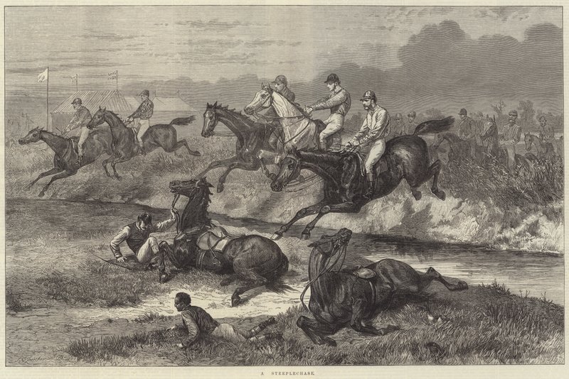 En hindring av Johann Baptist Zwecker