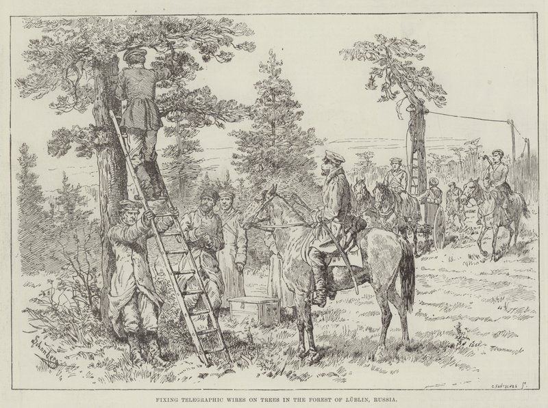 Feste telegrafiske ledninger på trær i Lublin-skogen, Russland av Johann Nepomuk Schonberg