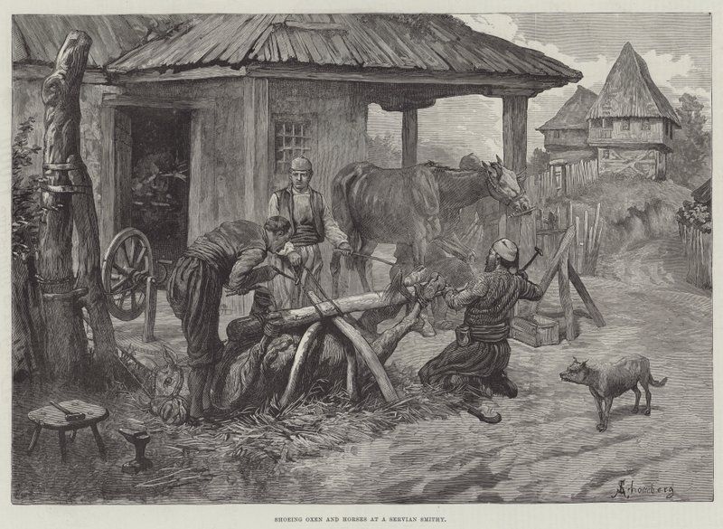 Skoing av okser og hester på en servisk smedje av Johann Nepomuk Schonberg