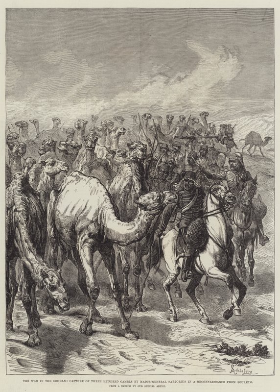 Krigen i Soudan, fangst av tre hundre kameler av generalmajor Sartorius i en rekognosering fra Souakim av Johann Nepomuk Schonberg