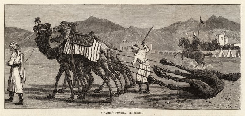 En kamels begravelsesprosesjon av John Charles Dollman